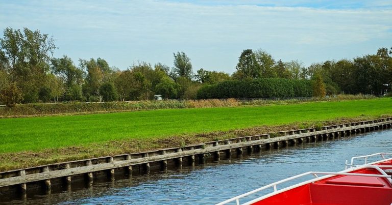 Eigen illustratie bij dit artikel van Skippertje