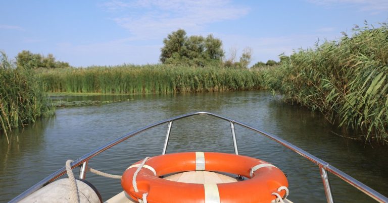 Zicht vanaf een boot op een kronkelende kreek tussen groen riet