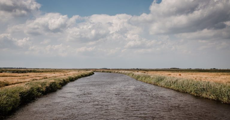 Open sloep vaart door rustig water tussen rietkragen op de Nieuwkoopse Plassen op een zonnige dag