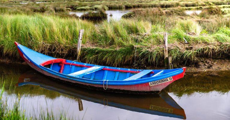 Een kleurrijke traditionele boot in een kanaal langs de rietkant