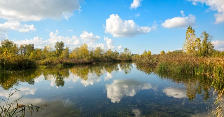 Een meer met riet langs de oever, de wolkenlucht weerspiegeld in het water