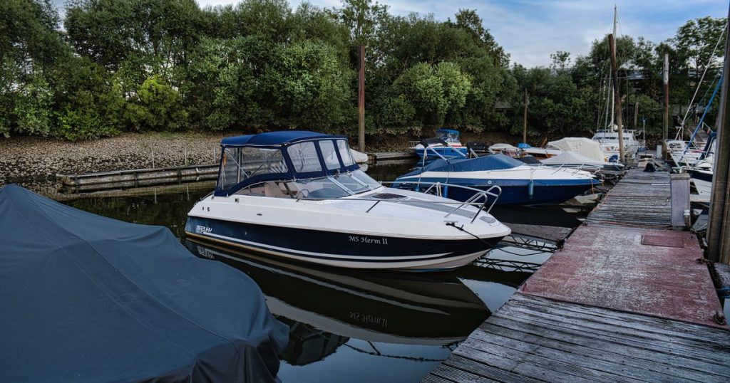 Motorboten afgemeerd aan een steiger in een jachthaven met veel groen eromheen