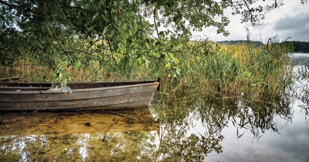 Rustieke boot onder weelderig groen aan een rustig meer, weerspiegeld in het water.