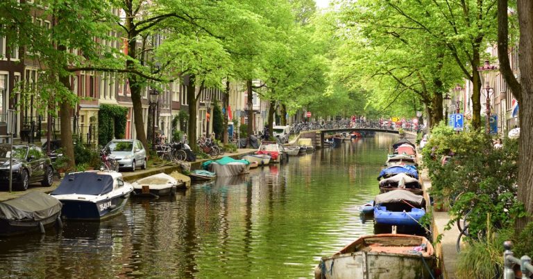 Schilderachtige Amsterdamse gracht met boten en weelderige groene bomen onder een heldere daghemel.